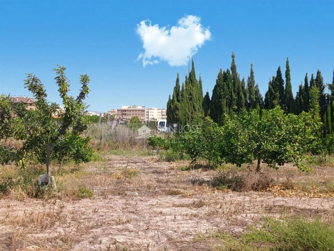 Terreno en venta en Novelda, Alicante photo 2