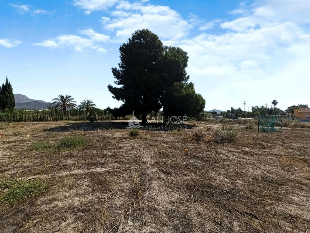 Terreno en venta en Novelda, Alicante photo 3