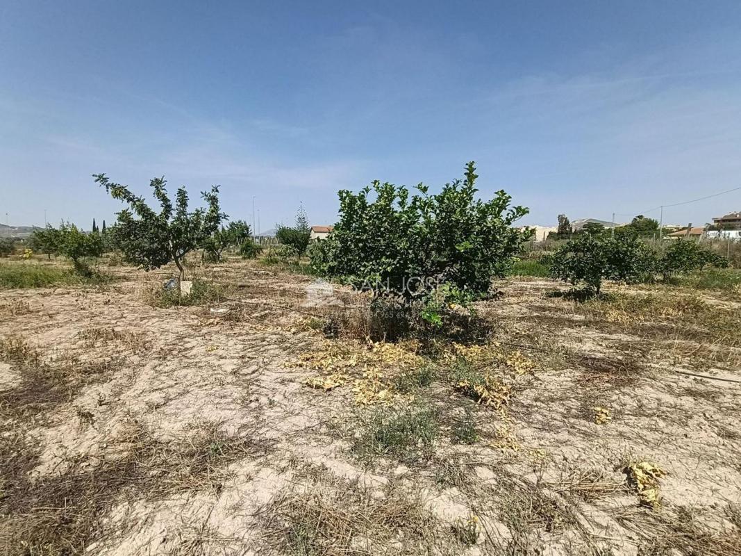 Terreno en venta en Novelda, Alicante photo 5