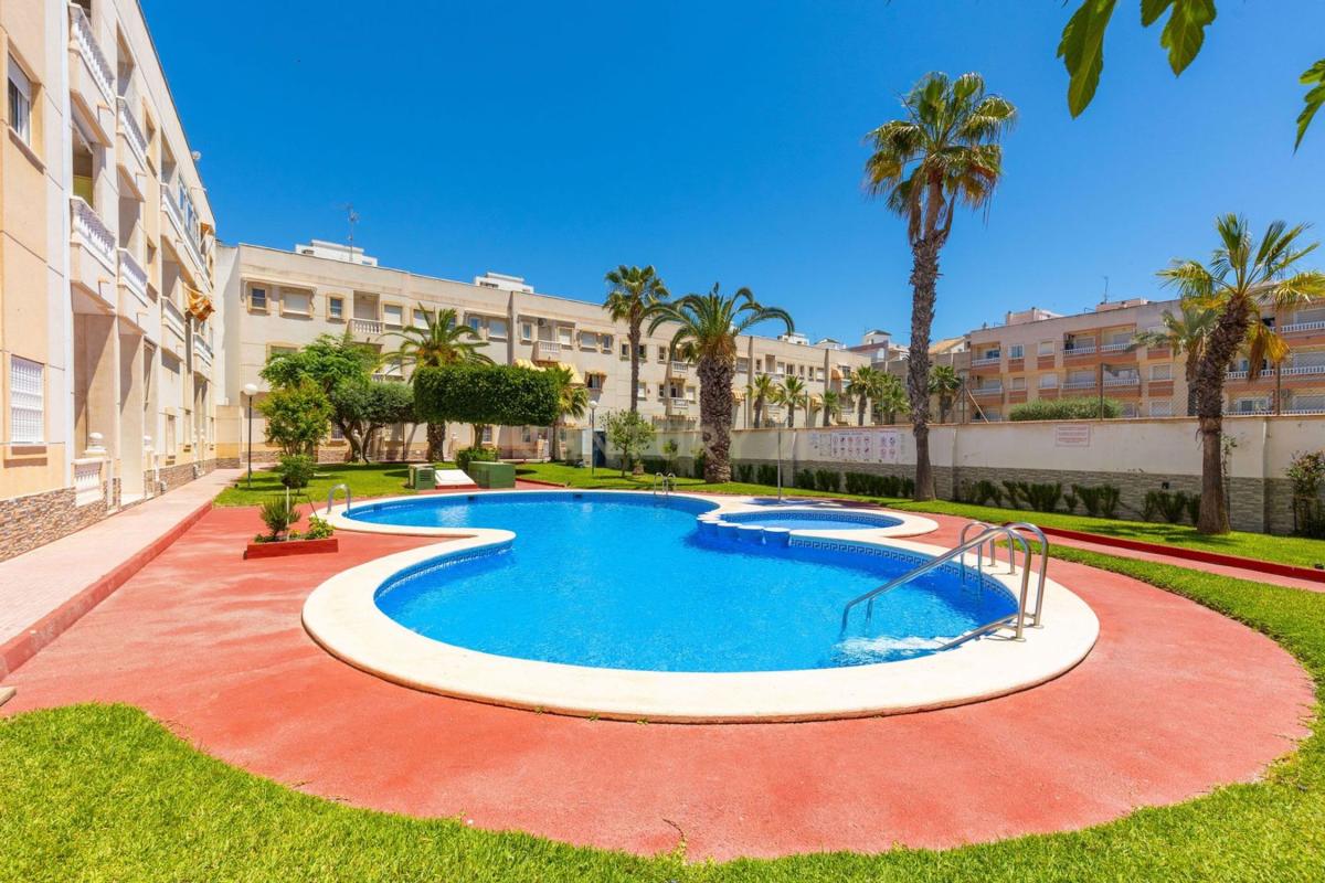 Venta de estudio en Estudio en Calle Patricio Zammit, 67, Antonio Machado, Torrevieja, Torrevieja photo 1