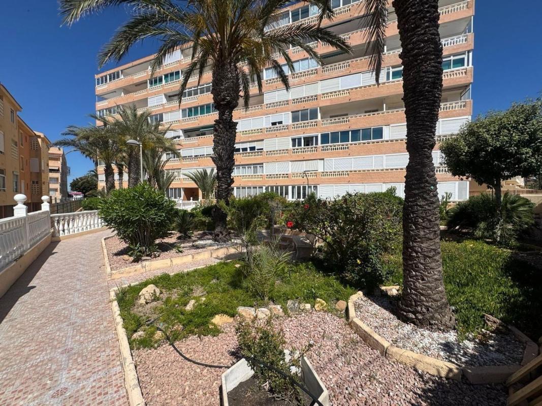 Venta de estudio en Estudio en Los Europeos, Torrevieja, Torrevieja photo 1