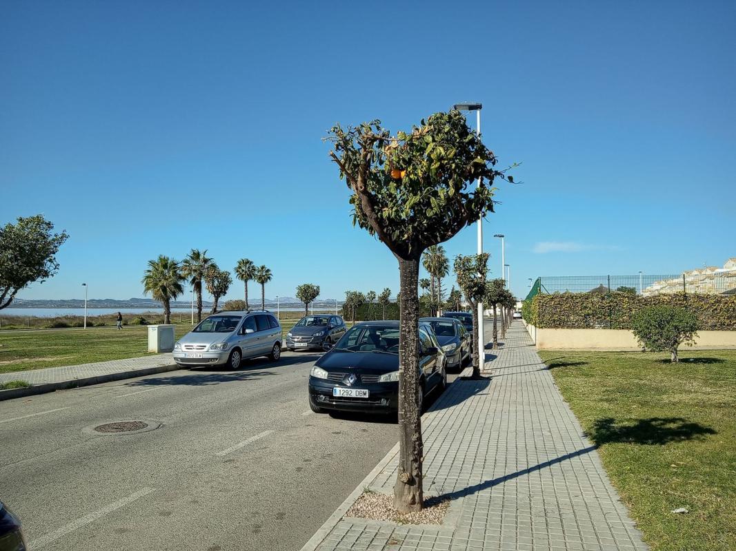 Продажа таунхауса в  Chalet adosado en Hondo El, La Siesta - El Salado - Torreta, Torrevieja , Торревьеха photo 5