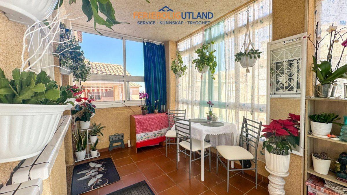 Продажа отдельного шале в Casa o chalet en Calle Francisco Alonso Lorenzo, 2, Parque Acuático - Sector 25, Torrevieja, Торревьеха photo 1