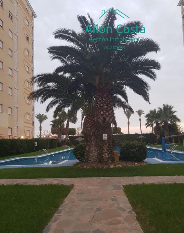 Sale of apartment in Piso en Platja Vila Joiosa, La Villajoyosa / Vila Joiosa, La Villajoyosa / Vila Joiosa
photo 5