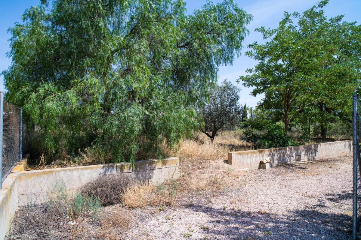 Properties for sale and rent in Spain photo 4