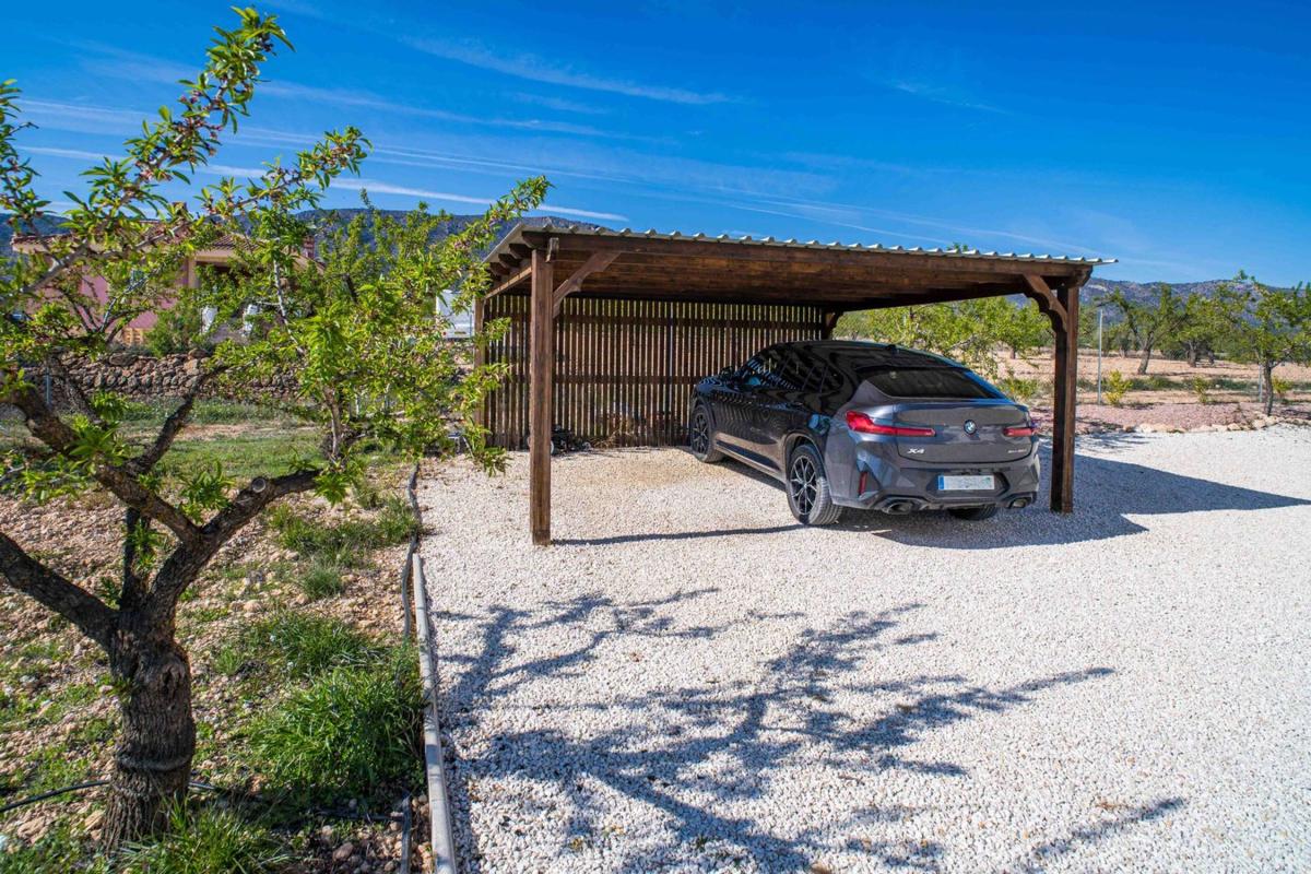 Properties for sale and rent in Spain photo 2