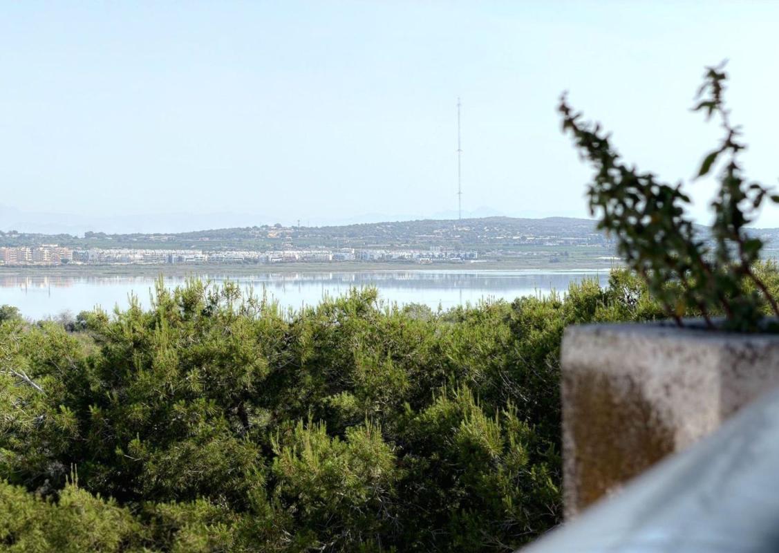 Venta de estudio en Estudio en La Siesta - El Salado - Torreta, Torrevieja, Torrevieja photo 3