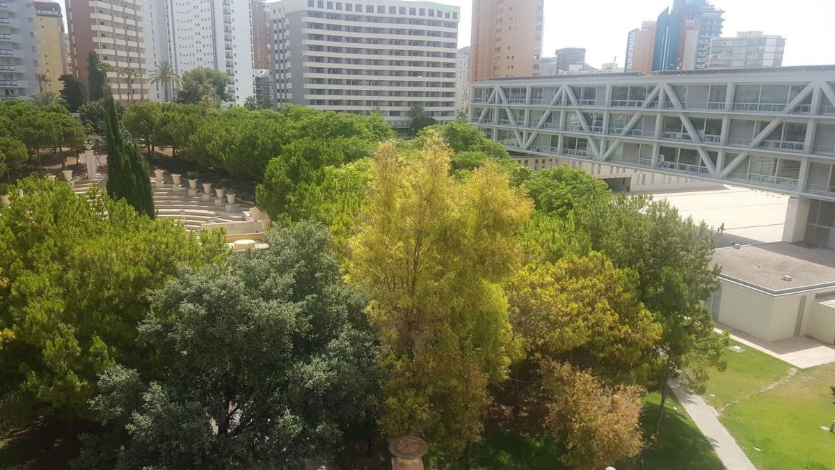 Venta de piso en Piso en Glorieta del Carrascos, Centro Urbano, Benidorm, Benidorm
photo 2