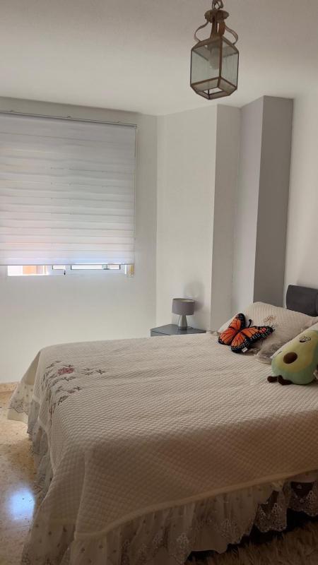 Venta de piso en Piso en Calle Ingeniero Sanchiz Pujalte, 20, Campoamor, Alicante / Alacant, Alicante / Alacant
 photo 5