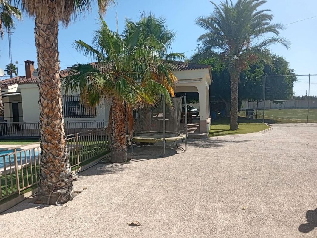 Sale of independent chalet in Casa o chalet en Plaza Urbanizable 2ª Residencia, Crevillente, Crevillente
photo 4