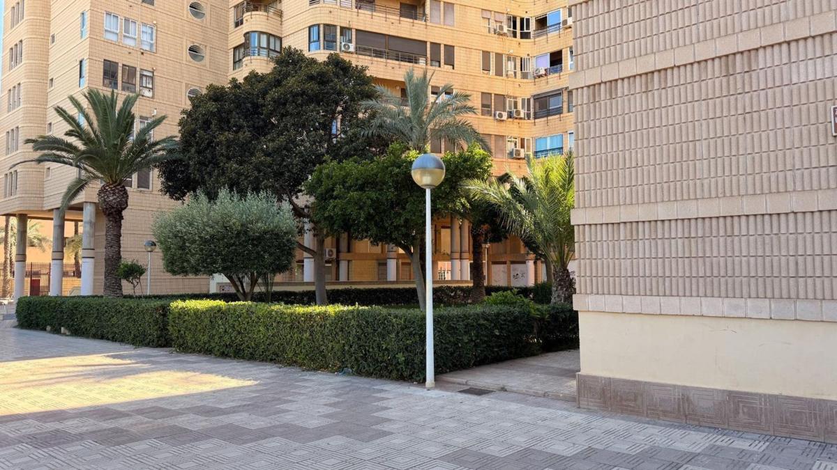 Продажа квартиры на Piso en Centro, Elche / Elx, Эльче / Эльх
photo 1