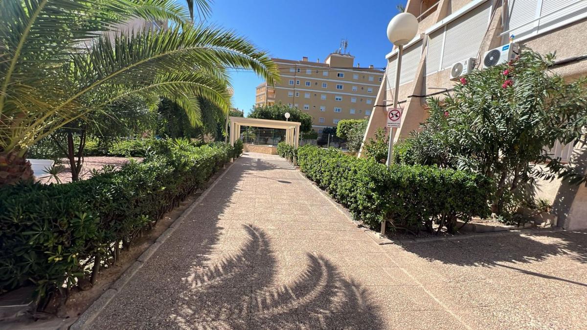 Продажа квартиры на Piso en Calle Helena, 3, Torreblanca, Torrevieja, Торревьеха
 photo 2
