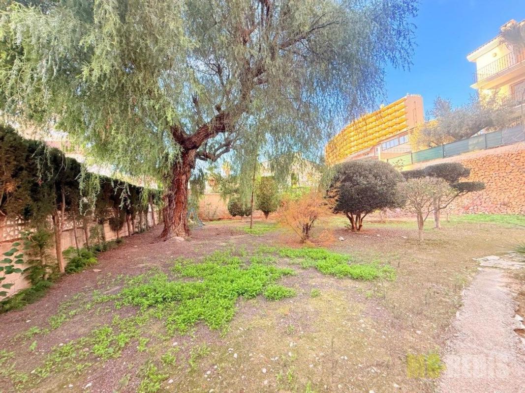 Properties for sale and rent in Spain photo 5