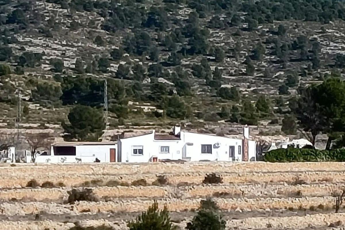 Sale of rural property in Finca rústica en Monovar , Monovar photo 1