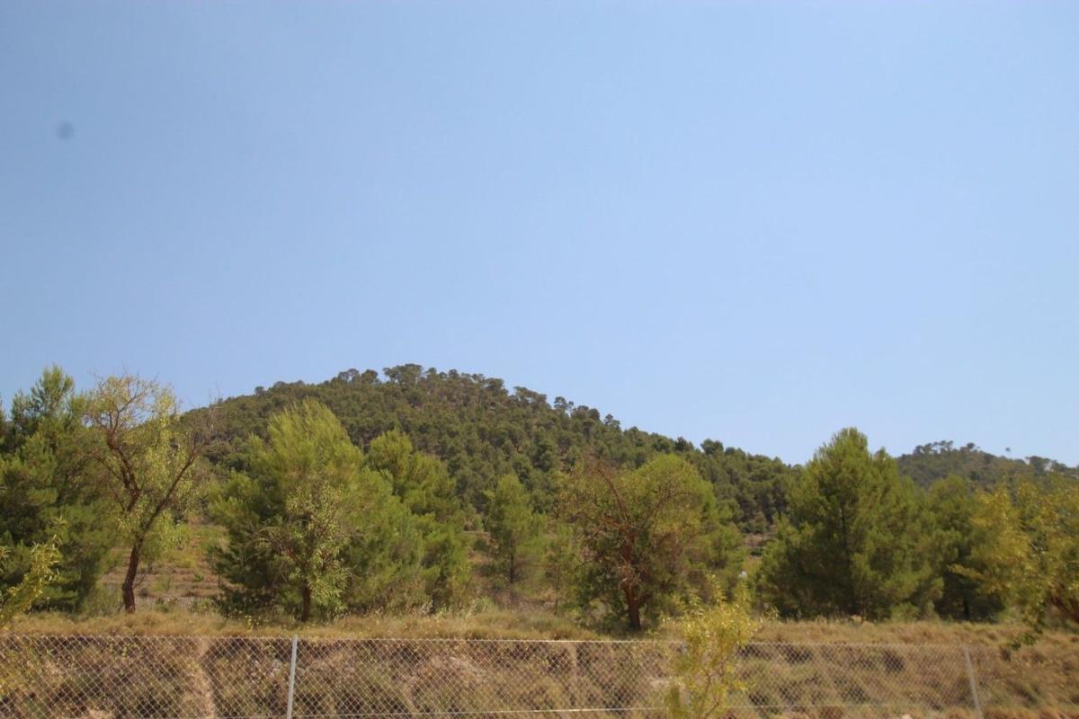 Properties for sale and rent in Spain photo 3