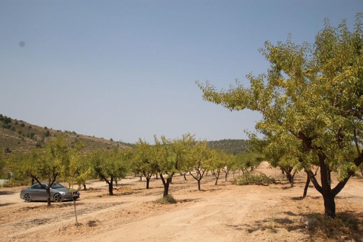 Properties for sale and rent in Spain photo 4