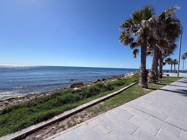Venta de piso en Piso en Calle Galera, Playa del Cura, Torrevieja, Torrevieja
photo 1