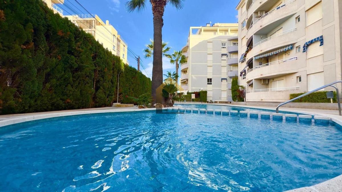 Sale of apartment in Piso en Nueva Torrevieja, Torrevieja, Torrevieja
photo 2
