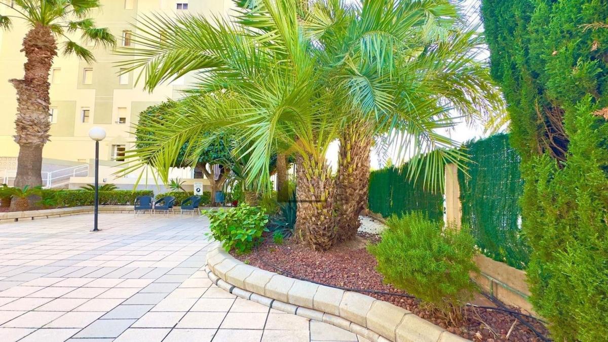 Sale of apartment in Piso en Nueva Torrevieja, Torrevieja, Torrevieja
photo 3