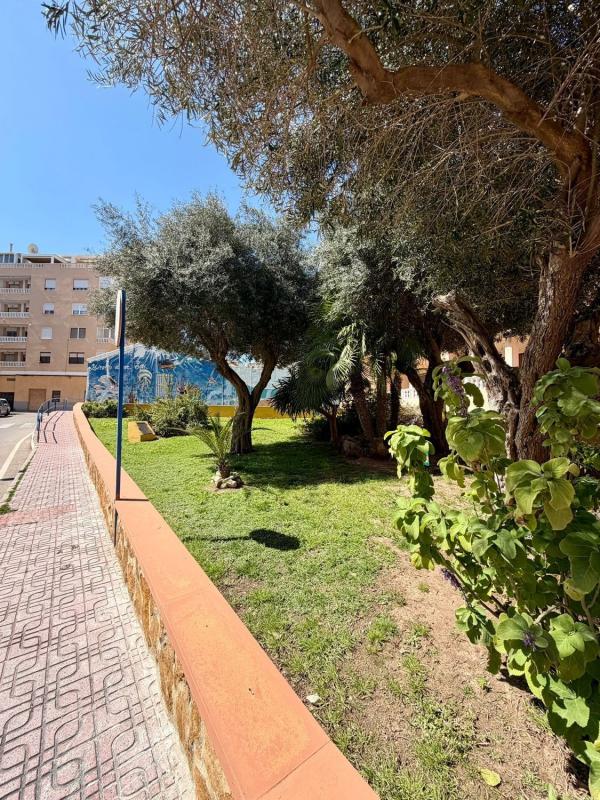 Venta de piso en Piso en Calle de la Purificación, Gaspar Perrelló, Torrevieja, Torrevieja
photo 4
