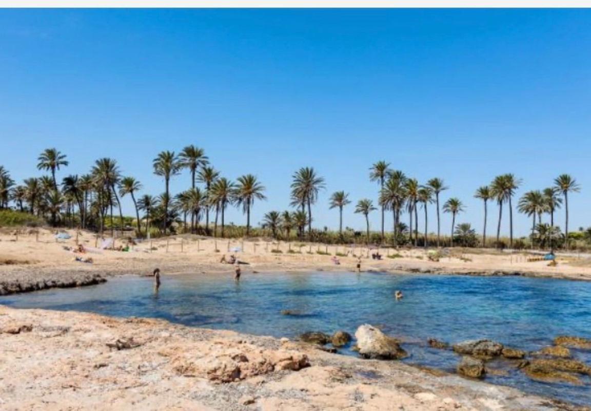 Venta de piso en Piso en Avenida Don Juan de Austria, 15, La Veleta, Torrevieja, Torrevieja
photo 3