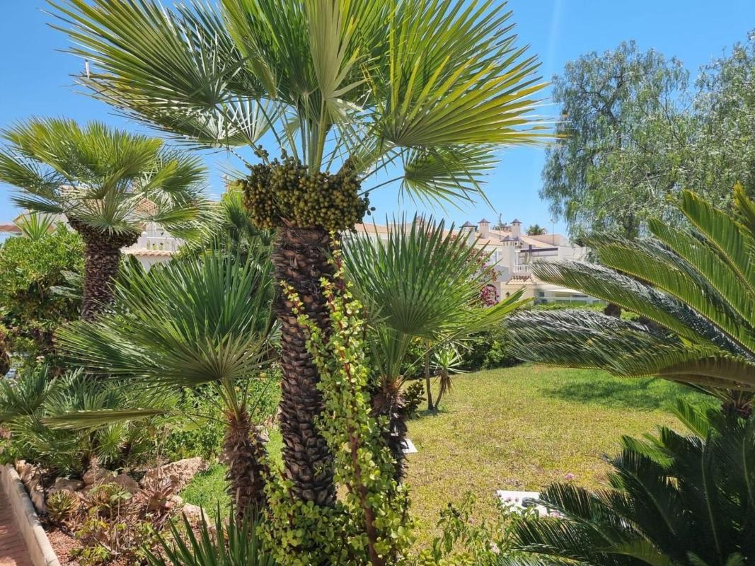 Venta de piso en Piso en Los Balcones - Los Altos del Edén, Torrevieja, Torrevieja
photo 5