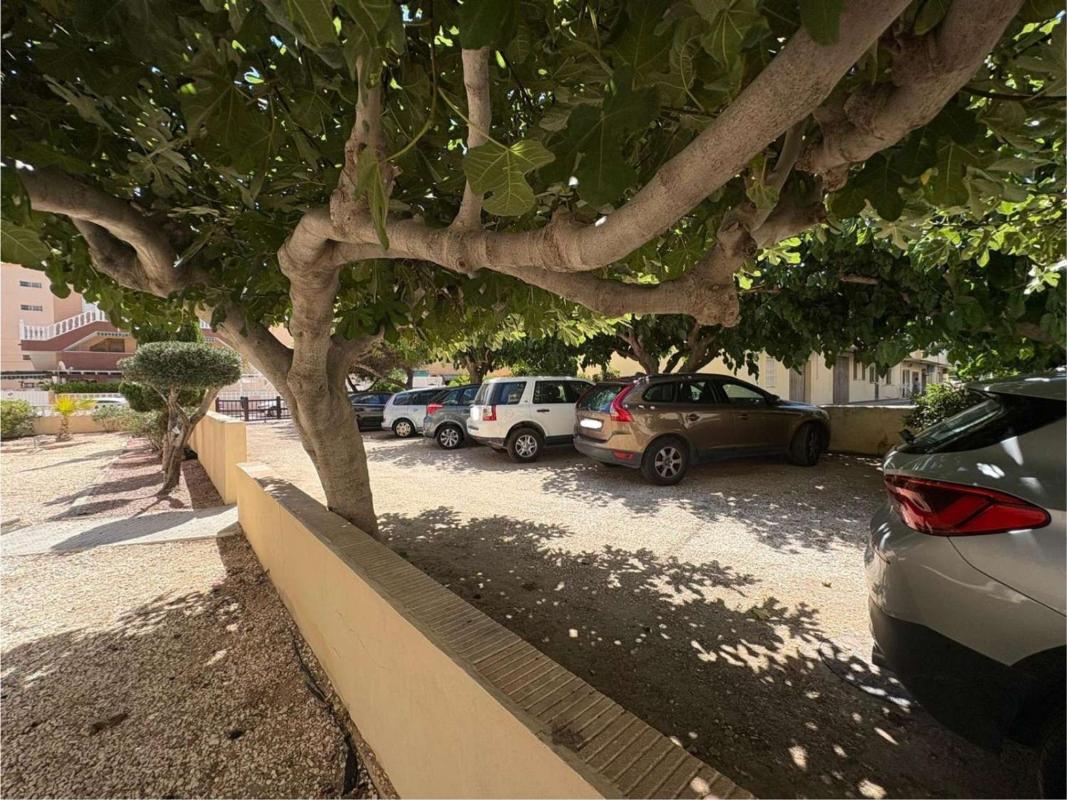 Продажа квартиры на Piso en Avenida de Francia, Los Europeos, Torrevieja, Торревьеха
 photo 5