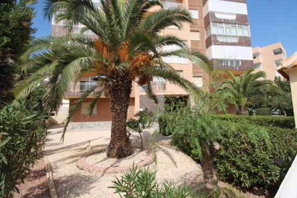 Sprzedaż mieszkania w Piso en Francia, Los Europeos, Torrevieja, Torrevieja
 photo 1