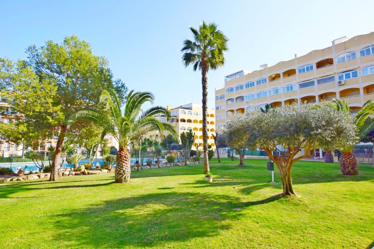 Продажа квартиры на Piso en Ronda José Samper García, 1 C, Torreblanca, Torrevieja, Торревьеха
photo 3