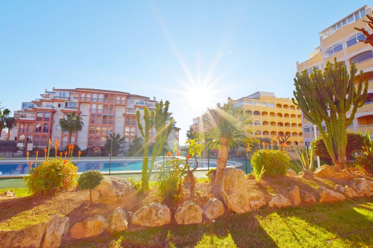 Продажа квартиры на Piso en Ronda José Samper García, 1 C, Torreblanca, Torrevieja, Торревьеха
photo 5