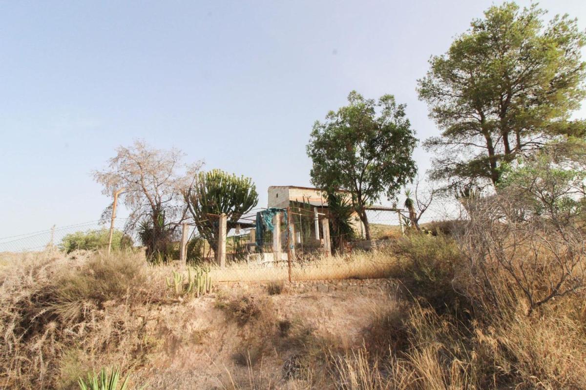 Properties for sale and rent in Spain photo 4