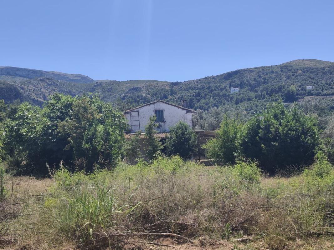 Sale of rural property in Finca rústica en Partida Ambra, Pego , Pego photo 4