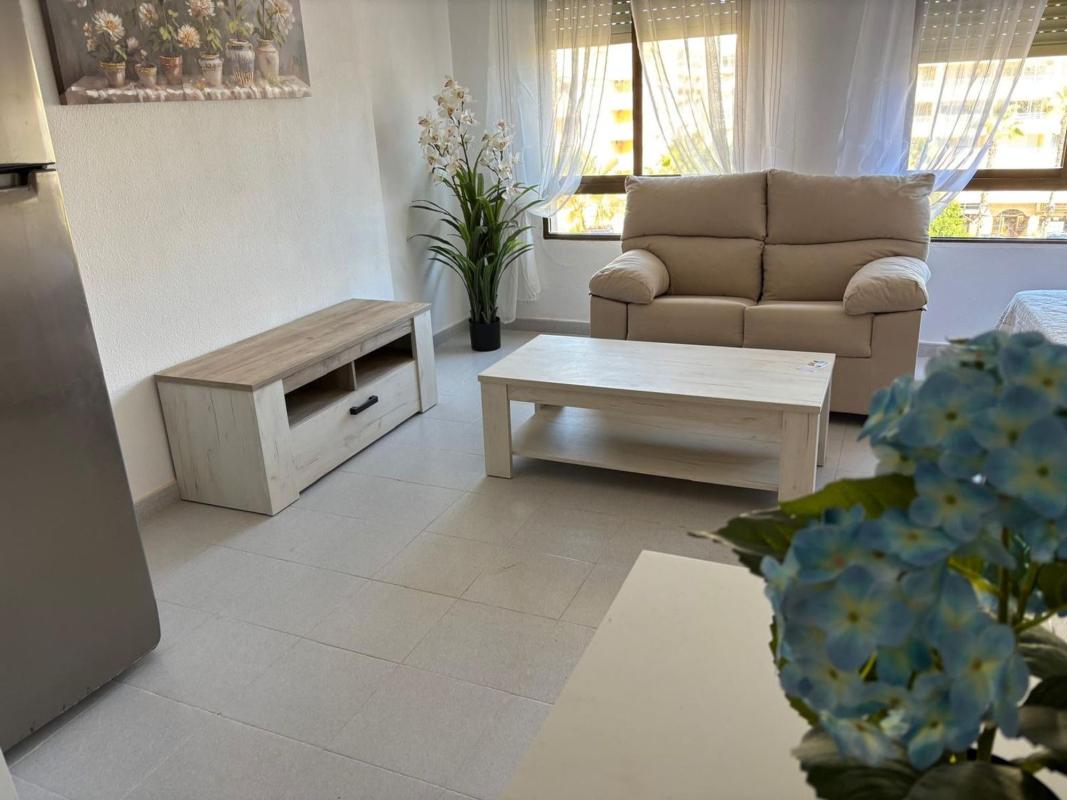 Venta de estudio en Estudio en Calle Ramón Gallud, 222, Playa del Cura, Torrevieja, Torrevieja photo 3