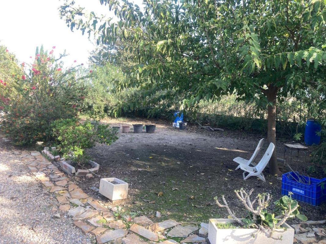 Sale of rural property in Finca rústica en Diseminado Cebadas, 148, Dolores , Dolores photo 3