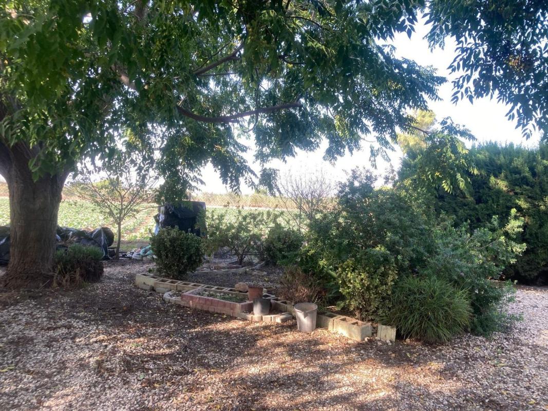 Sale of rural property in Finca rústica en Diseminado Cebadas, 148, Dolores , Dolores photo 5