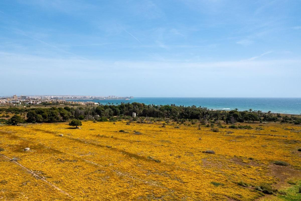 Venta de ático en  Ático en Punta Prima, Torrevieja, Torrevieja photo 5