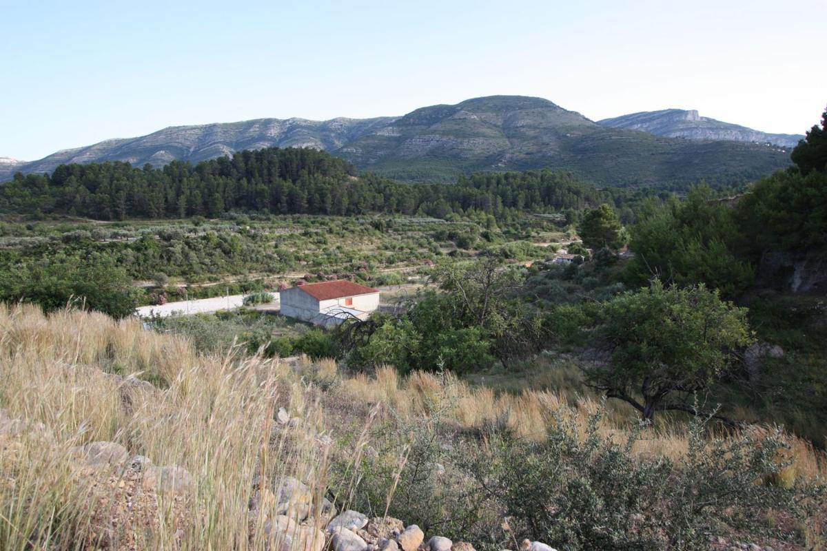 Sale of rural property in Finca rústica en Murla , Murla photo 4
