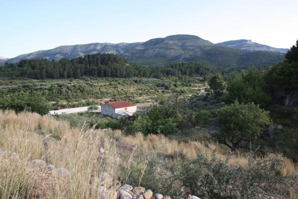 Rustic farm for sale in  Finca rústica en Murla , Murla photo 4