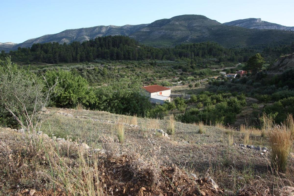 Sale of rural property in Finca rústica en Murla , Murla photo 5