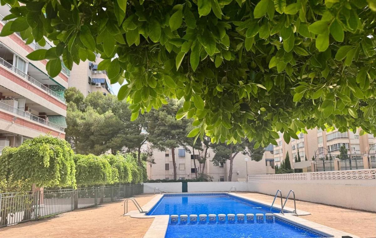 Sale of apartment in Piso en Avenida San Sebastián, Playa de San Juan, Alicante / Alacant, Alicante
photo 1