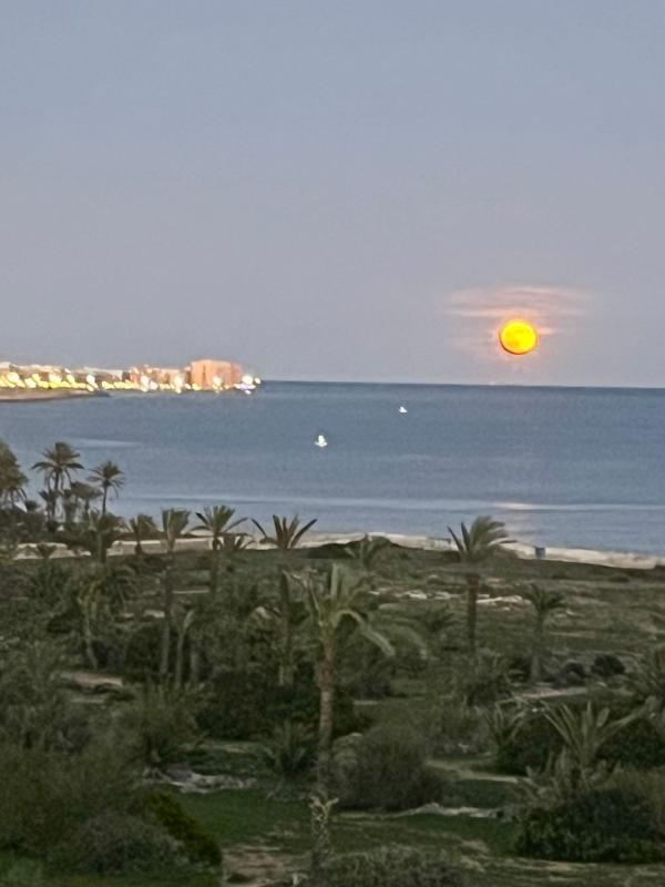 Продажа квартиры на Piso en Calle Pleamar, Punta Prima, Torrevieja, Торревьеха
 photo 5
