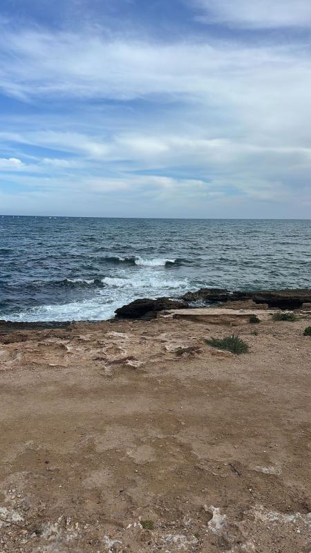 Продажа квартиры на Piso en Avenida del Pacífico, La Veleta, Torrevieja, Торревьеха
photo 3