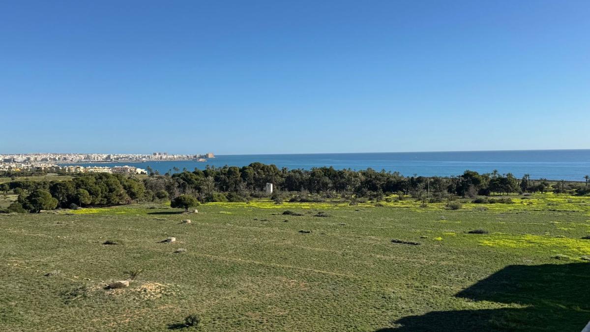 Venta de ático en  Ático en Calle Arrecife, 11, Punta Prima, Torrevieja, Torrevieja photo 3