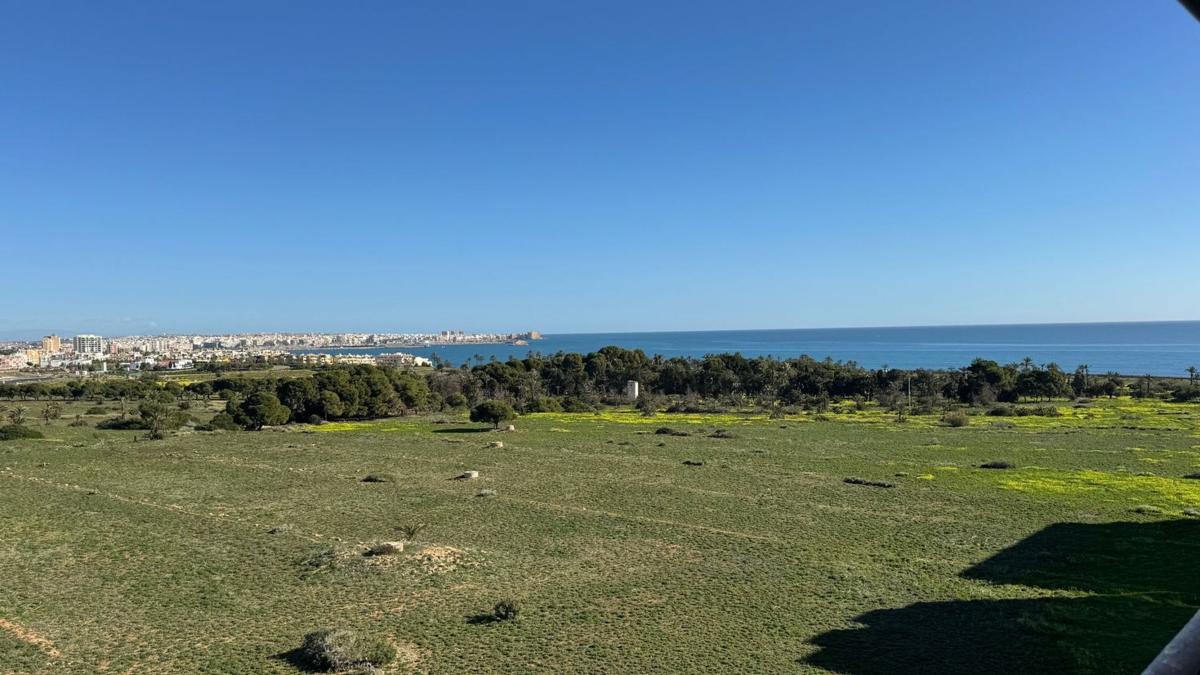 Venta de ático en  Ático en Calle Arrecife, 11, Punta Prima, Torrevieja, Torrevieja photo 4
