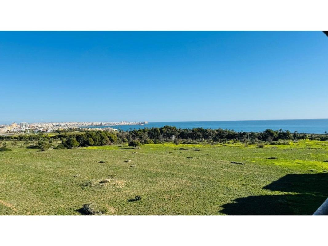 Продажа квартиры на Piso en Calle Arrecife, 11, Punta Prima, Torrevieja, Торревьеха
 photo 2