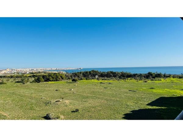 Продажа квартиры на Piso en Calle Arrecife, 11, Punta Prima, Torrevieja, Торревьеха
thumbnail 1