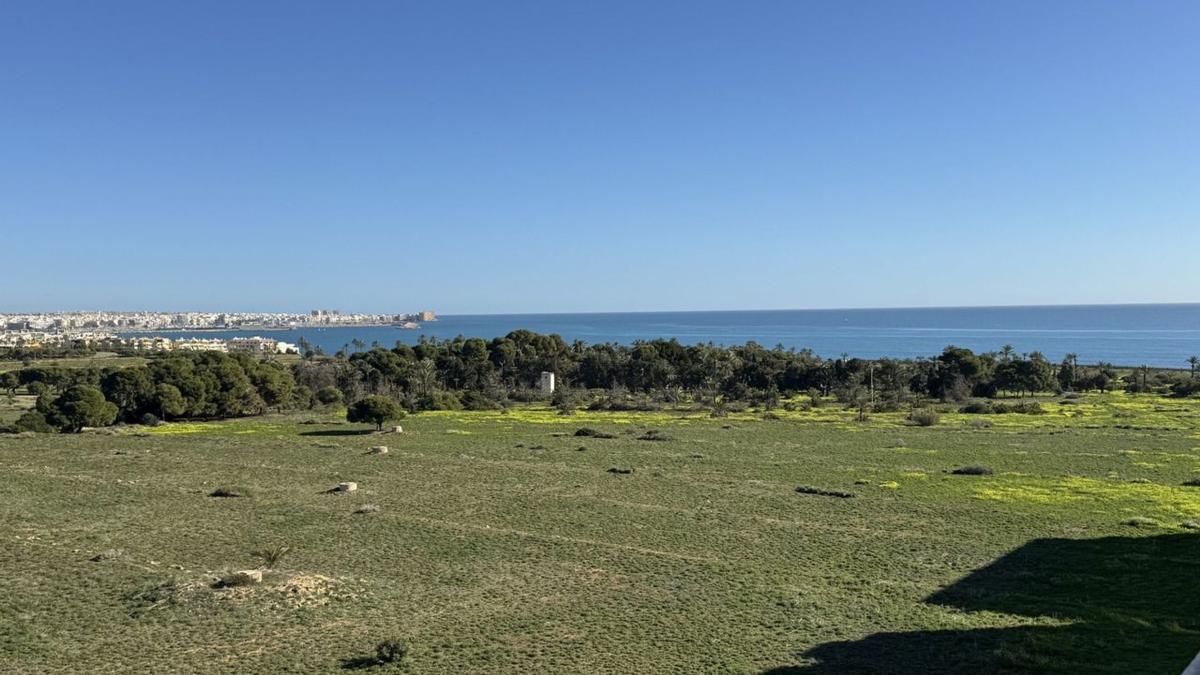 Продажа квартиры на Piso en Calle Arrecife, Punta Prima, Torrevieja, Торревьеха
 photo 3