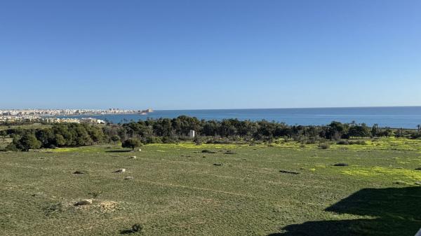 Продажа квартиры на Piso en Calle Arrecife, Punta Prima, Torrevieja, Торревьеха
thumbnail 2