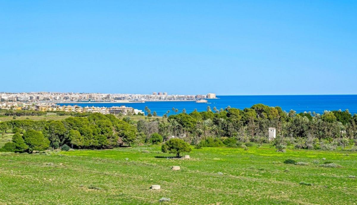 Продажа квартиры на Piso en Calle Arrecife, Punta Prima, Torrevieja, Торревьеха
 photo 3