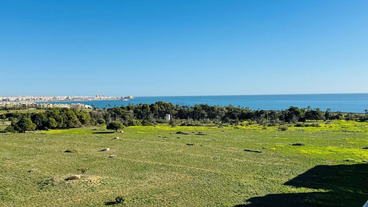 Venta de ático en  Ático en Punta Prima, Torrevieja, Torrevieja photo 2